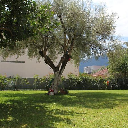 Holiday Lefkas Sunrise Luxury Appartments Nikiana Exteriör bild